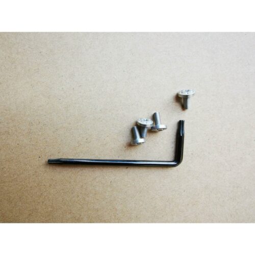 Tactics Torx Grip Screws - 4 Screws For G10 GE 1911 V10 Pistol Grip (Colour: Silver) - iHobby Online