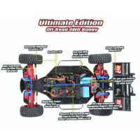 Au Store Radio Remo Hobby 2.4GHz1/8 Brushless Buggy Scorpion 4WD Truck #8055