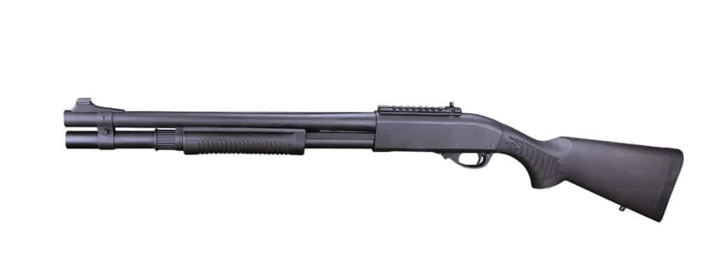 8872-1024x375.jpg